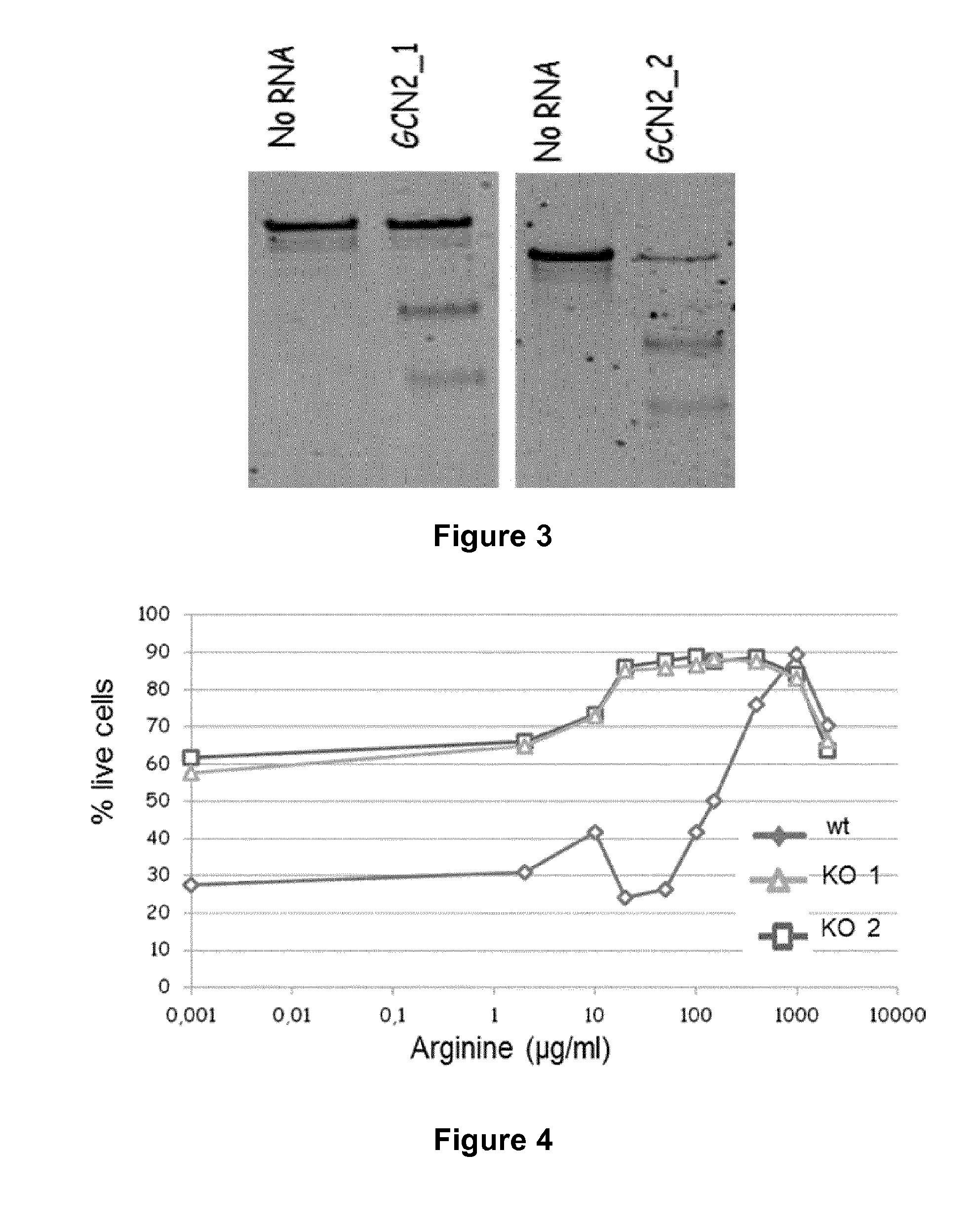 Method for generating immune cells resistant to arginine and/or tryptophan depleted microenvironment