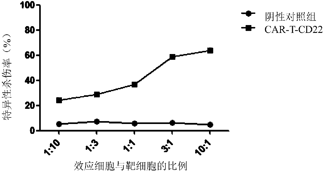 Single-chain antibody targeting CD22, chimeric antigen receptor T cell, preparation method and application thereof