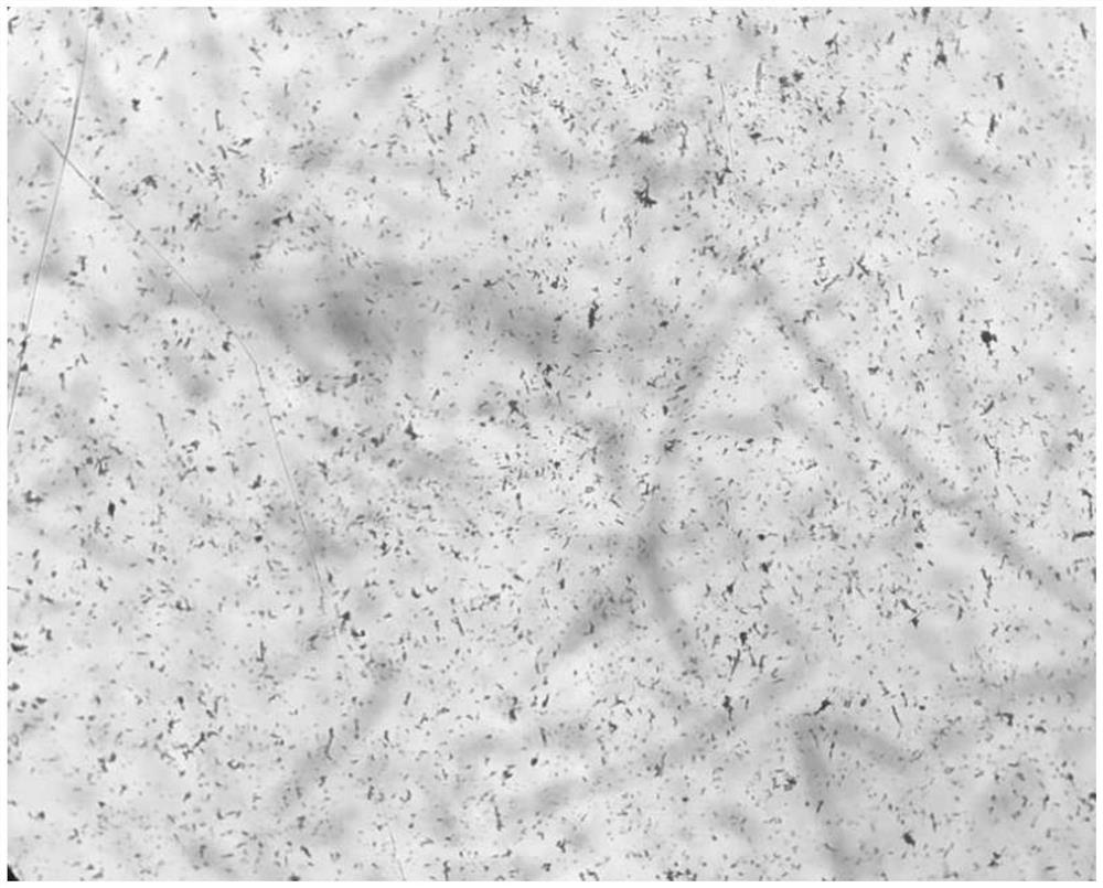 Preparation method of cefoperazone sodium