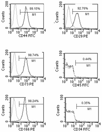 Method for sequential culture of human umbilical cord blood mesenchymal stem cells by using two culture media