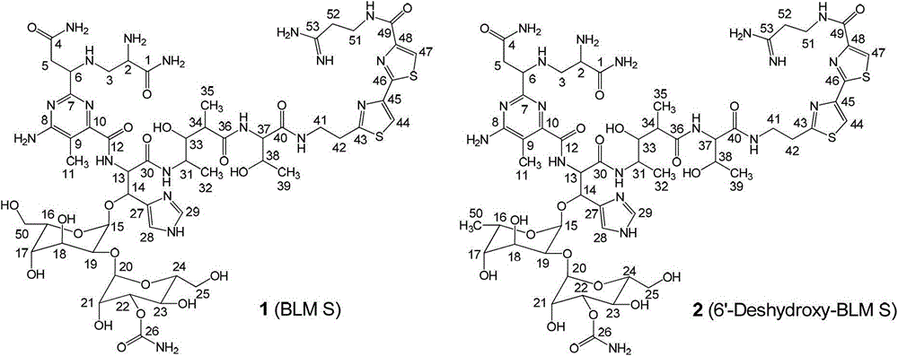 Bleomycin derivative separating and purifying method