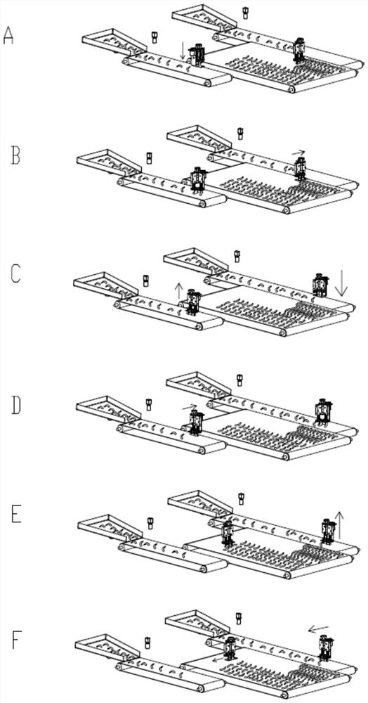 Shrimp meat arrangement device and method thereof