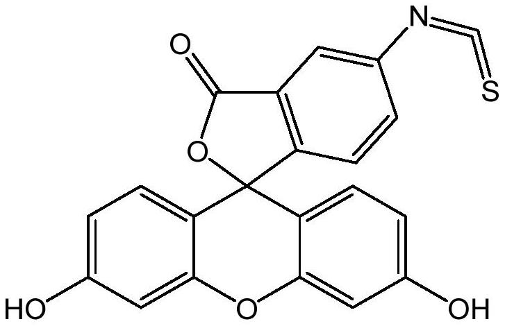 Preparation method of fluorescein probe with specific selectivity