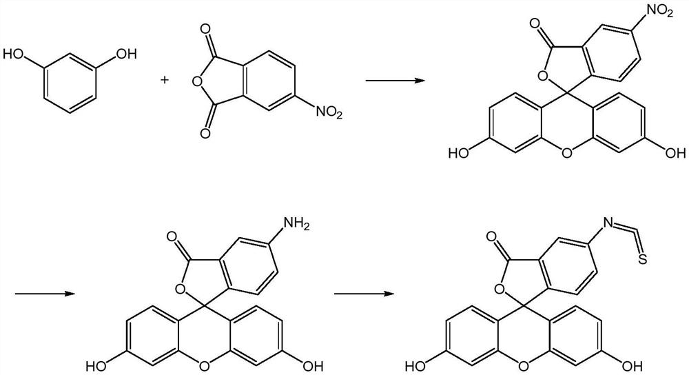 Preparation method of fluorescein probe with specific selectivity