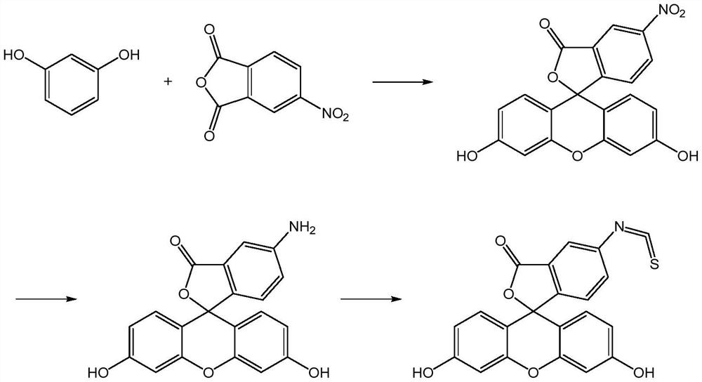 Preparation method of fluorescein probe with specific selectivity