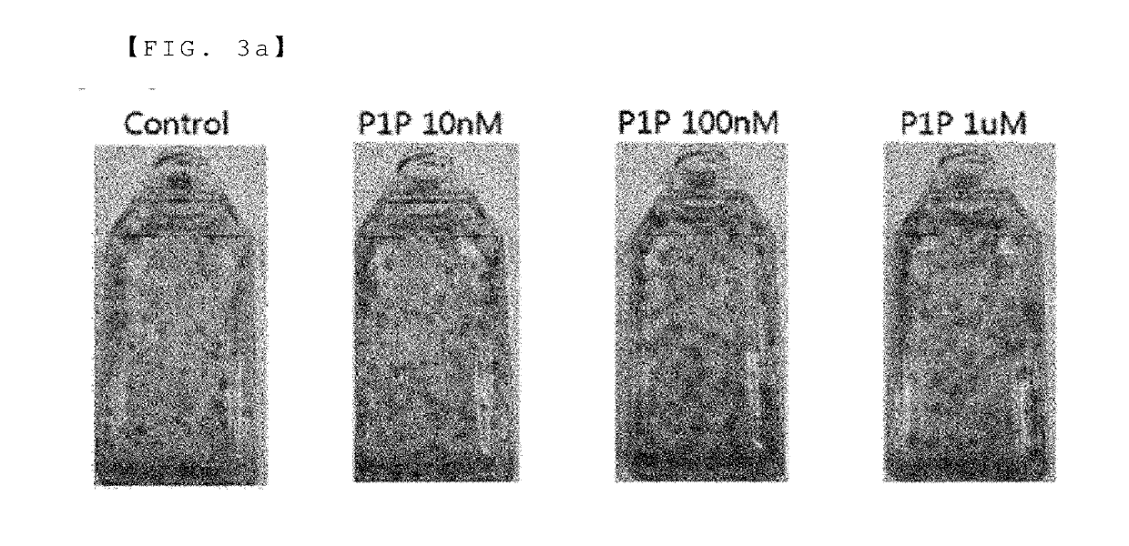 Composition for promoting growth of stem cells comprising phytosphingosine-1-phosphate or derivatives thereof, and composition for culturing media of stem cells comprising same