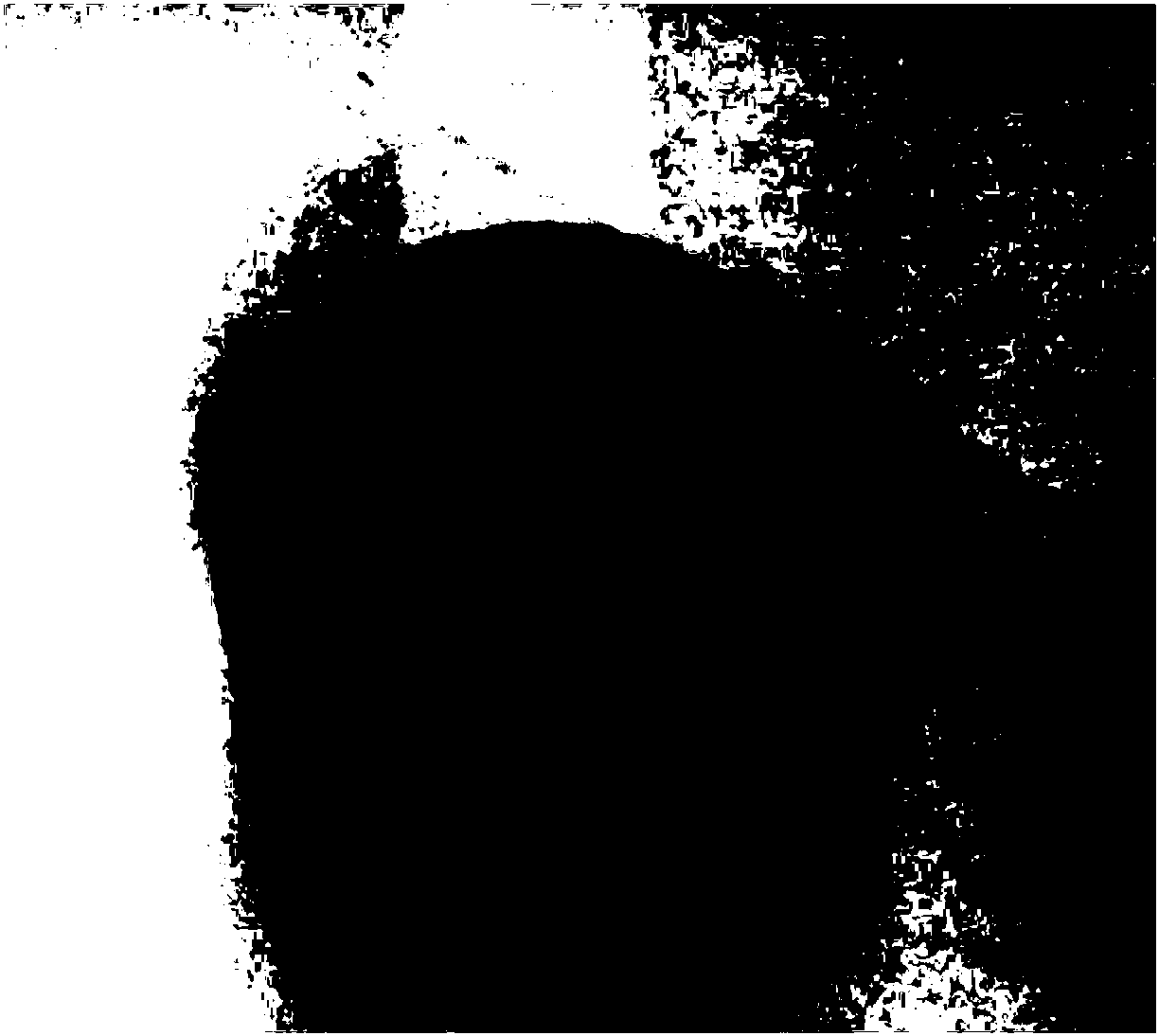 Smelting method of high-purity bearing steel