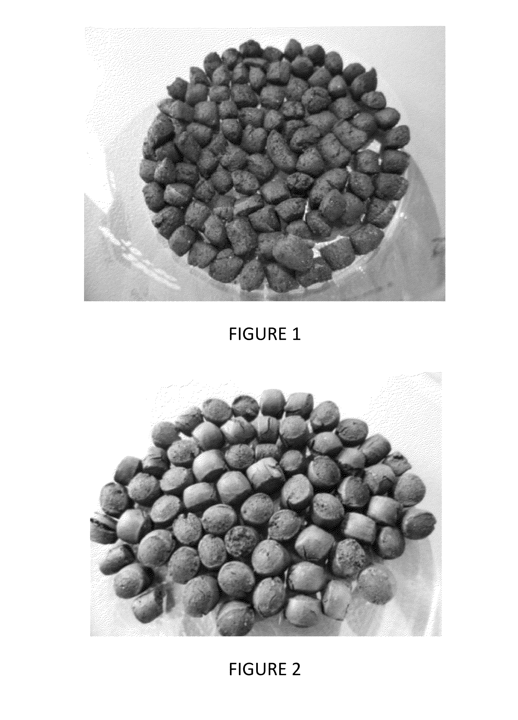 Biochar products and method of manufacture thereof