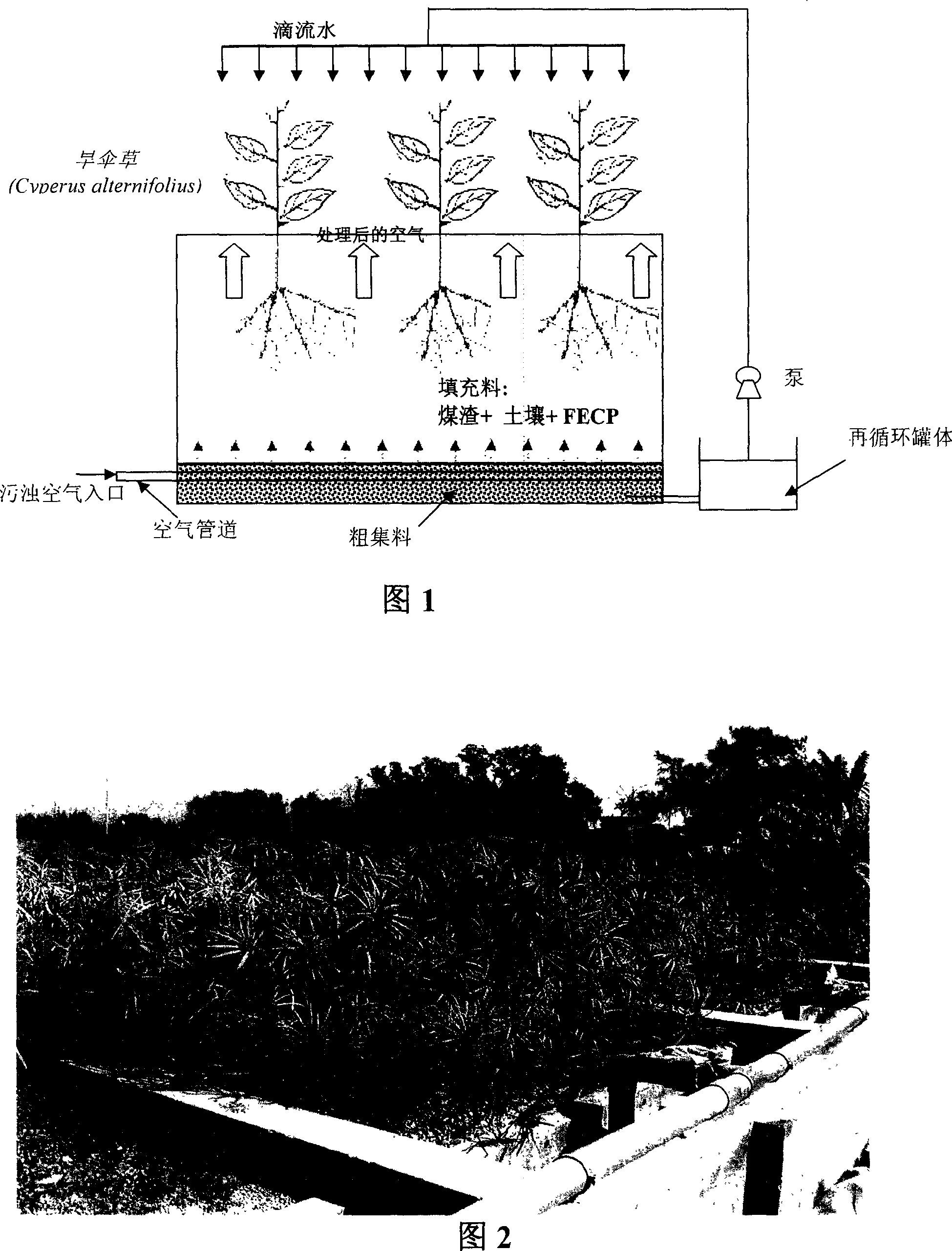 System for treating odour compound in dirty air and its method