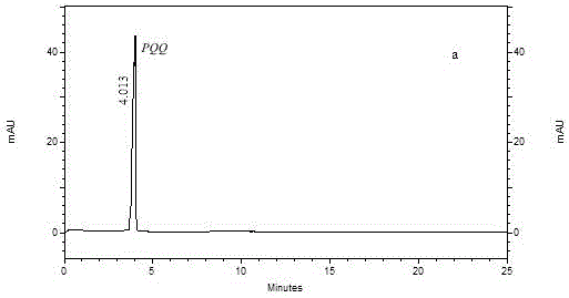 Study method using capillary electrophoresis and UPLC-MS (ultra performance liquid chromatography - mass spectrometry) to analyze regulating function of PQQ (pyrroloquinoline quinone) on catecholamine neurotransmitter