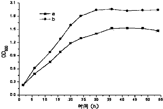 Acinetobacter baumannii enriched culture medium