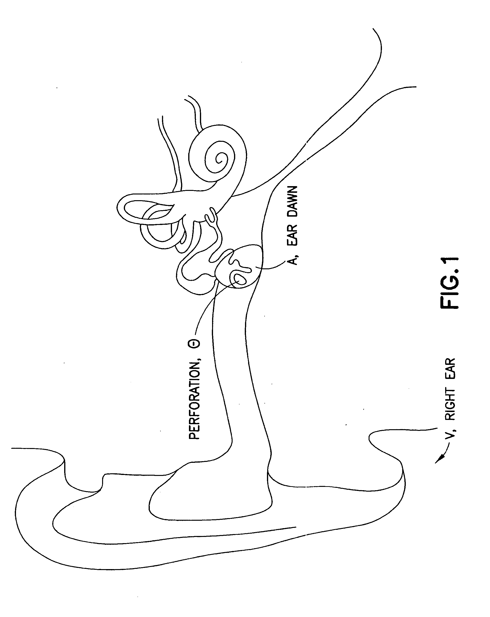 Diagnostic method including uniform encoding of information