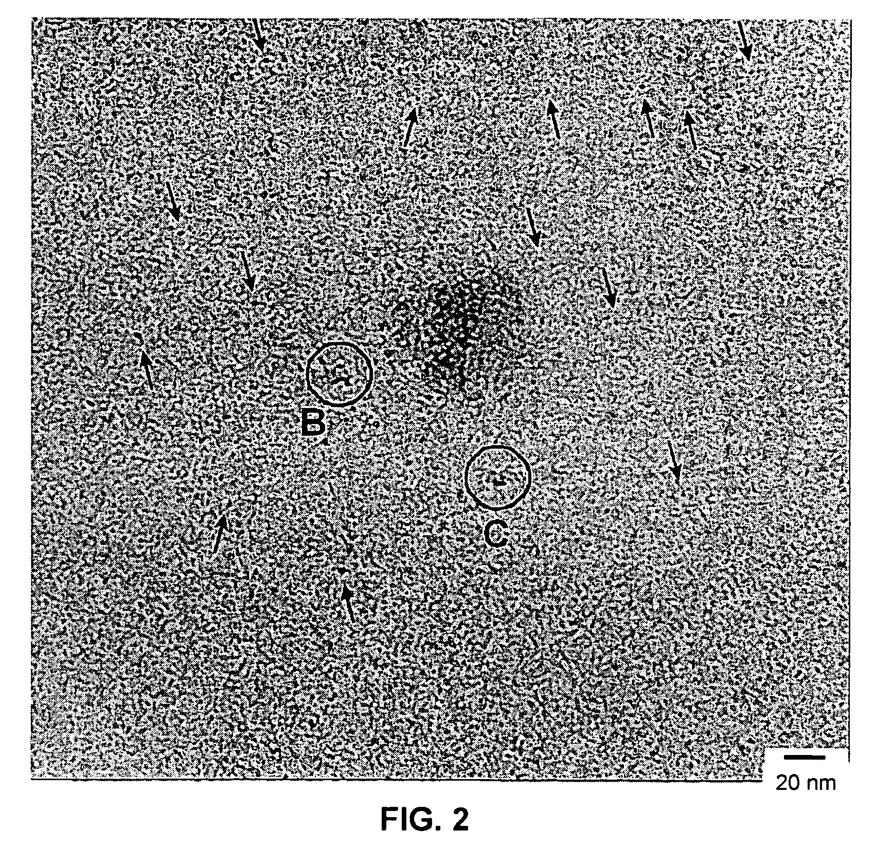 Method of forming stable functionalized nanoparticles