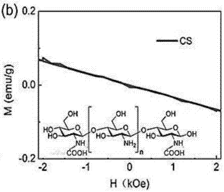 Beta-FeSi2 nano-hexahedron particle chitosan composite material and preparation method thereof