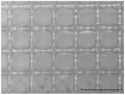 Bone repair porous compound scaffold based on 3D (three-dimensional)-Bioplotter printing technology and preparation method thereof