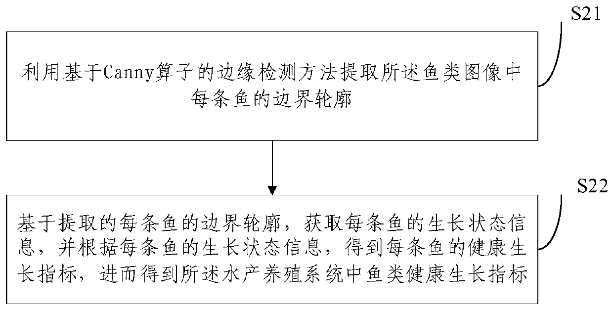 Fish-growth-based optimal control method and system