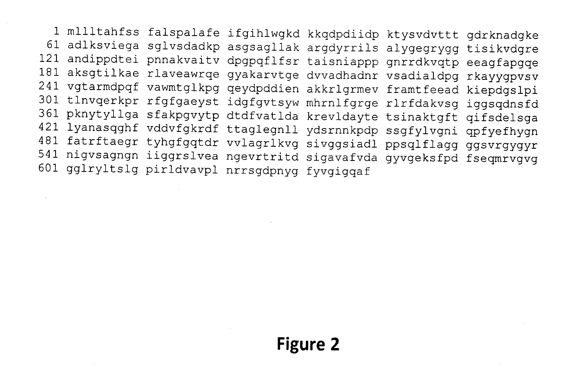 Brucella Abortus Proteins and Methods of Use Thereof