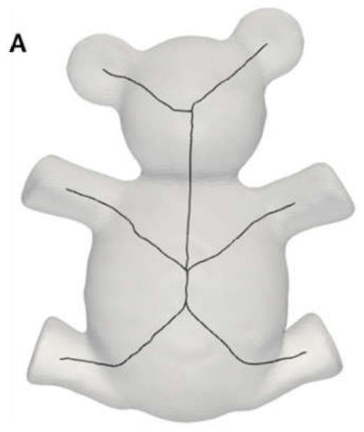 Skeleton line extraction method suitable for complex multi-cavity three-dimensional model