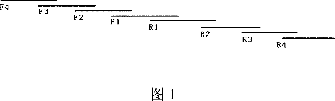 Recombined composite epitope antigen of liver cancer, preparation method, and application of preparing medication for specific immunity treatment of liver cancer