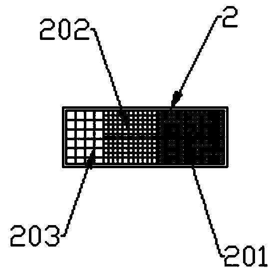 Multifunctional seed screening device