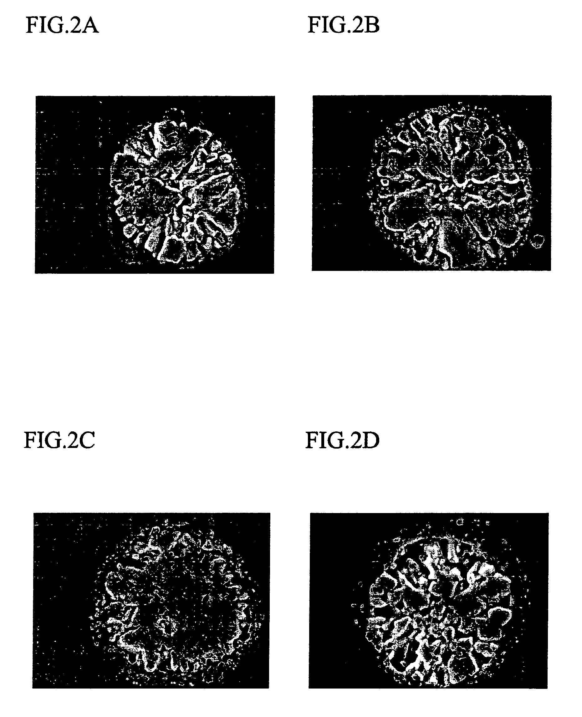 Conductive agent-positive active material composite for lithium secondary battery, method of preparing the same, and positive electrode and lithium secondary battery comprising the same