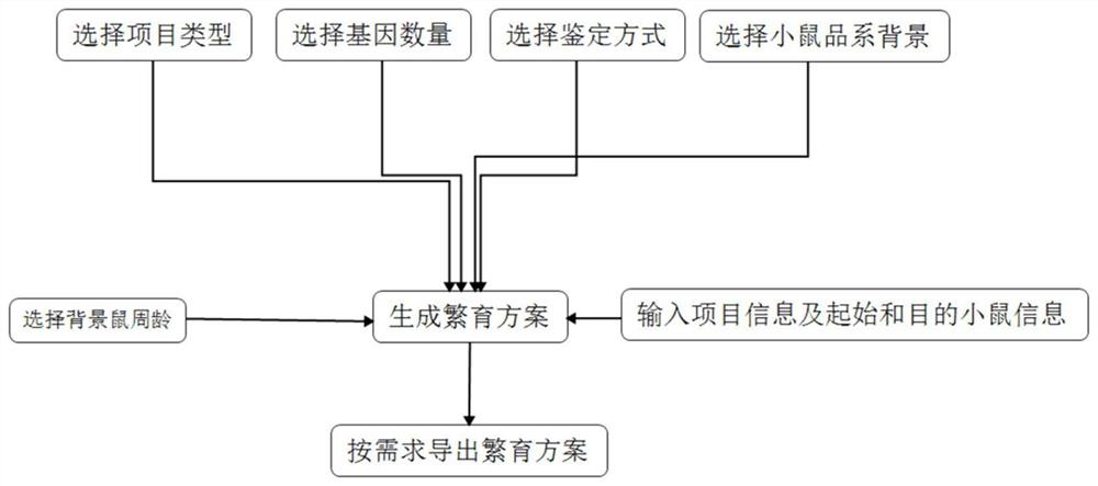 Method and system for automatically designing mouse breeding scheme based on Mendel's genetic law