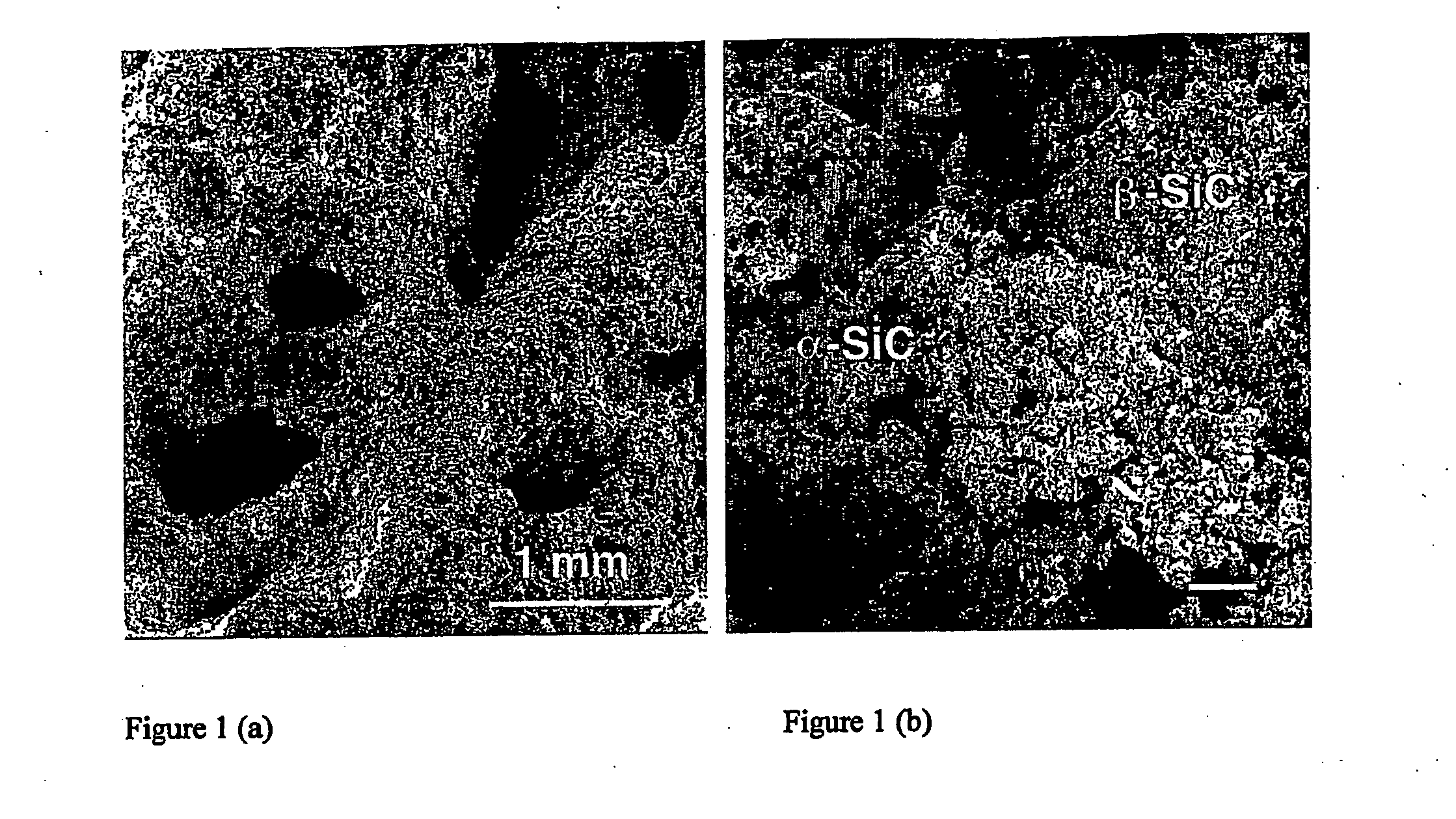 Use of a silicon carbide-based ceramic material in aggressive environments