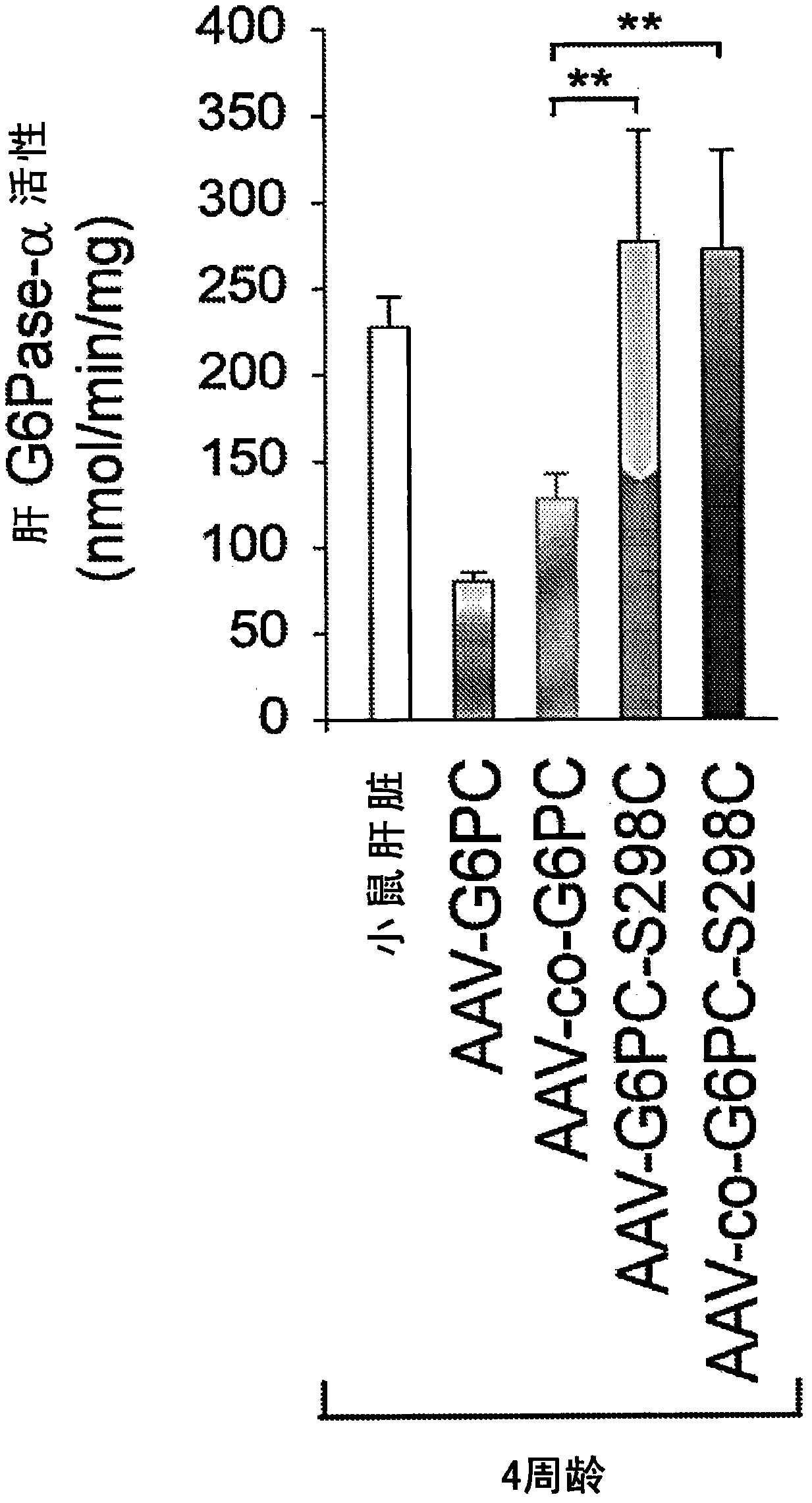 Adeno-associated virus vectors encoding modified g6pc and uses thereof