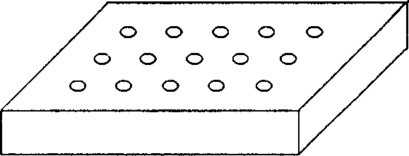 Microarray chip used for cell or microorganism detection and its preparation method