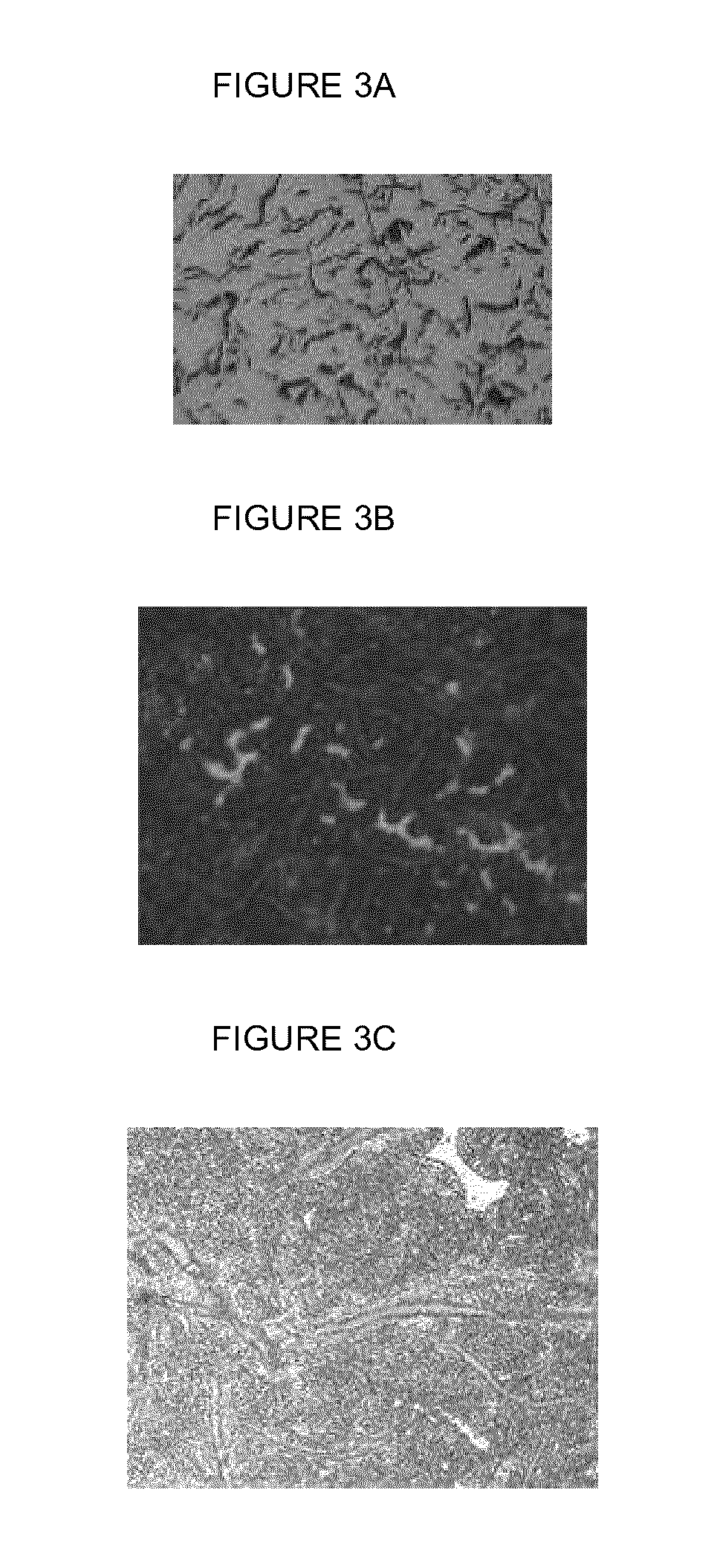 Alloy cast iron and manufacturing method of rolling piston using the same