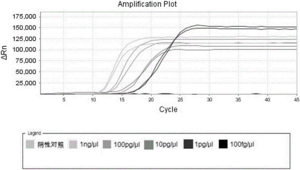 LAMP primer group for salmonella typhimurium, kit and use method of kit