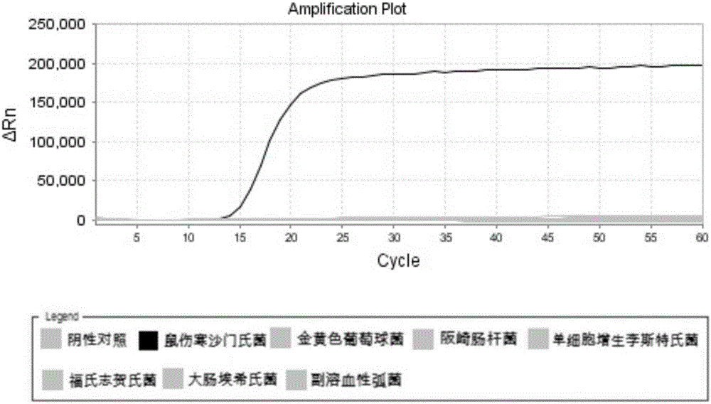 LAMP primer group for salmonella typhimurium, kit and use method of kit