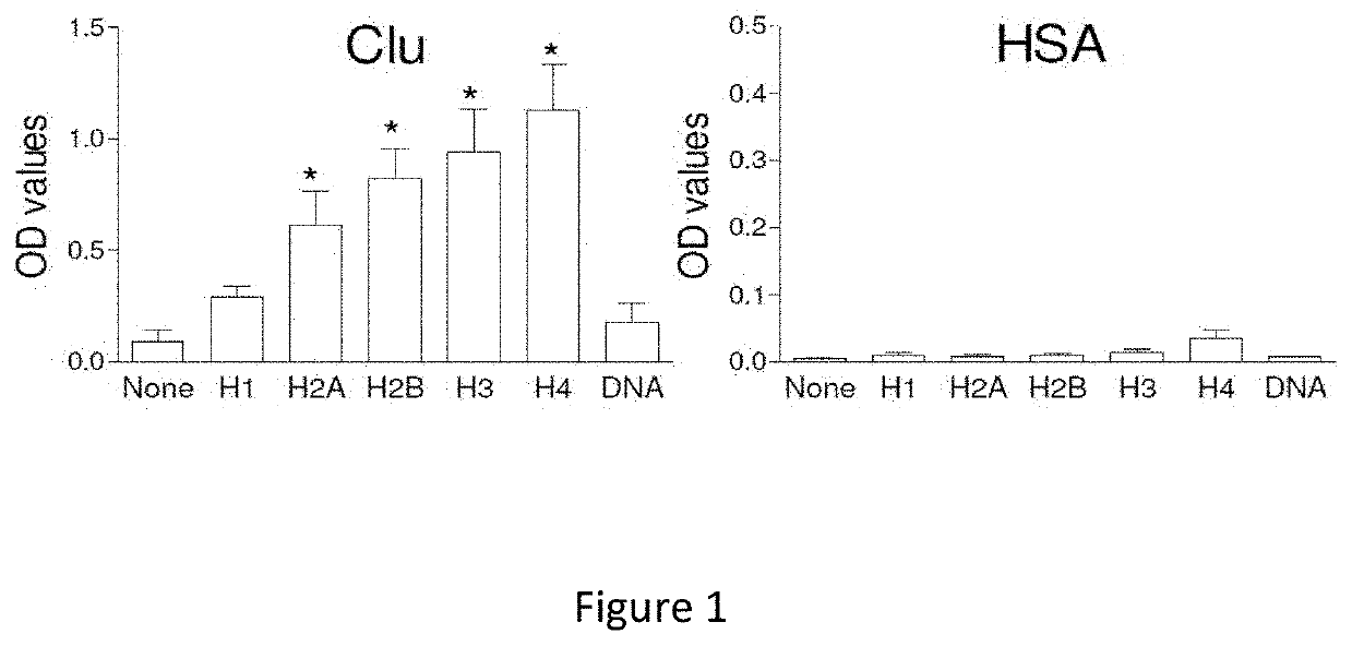 Clusterin for use in the treatment of thrombotic microangiopathies