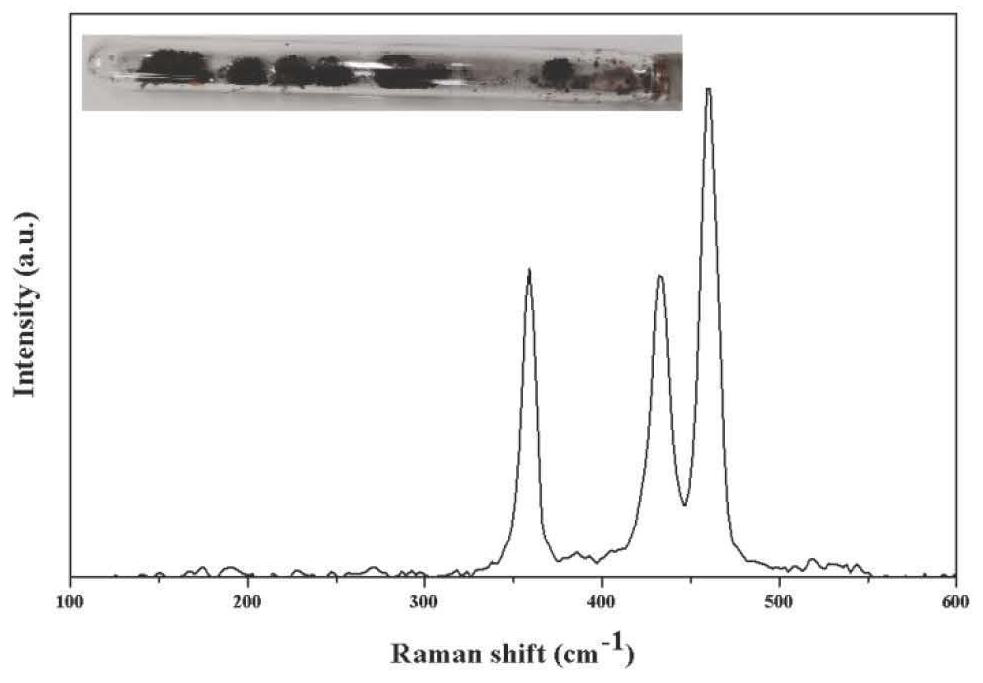 Crystal red phosphorus nanowire and preparation method thereof