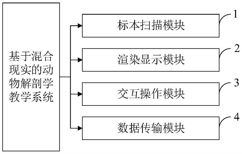 Animal anatomy teaching method and system, medium, computer equipment and terminal