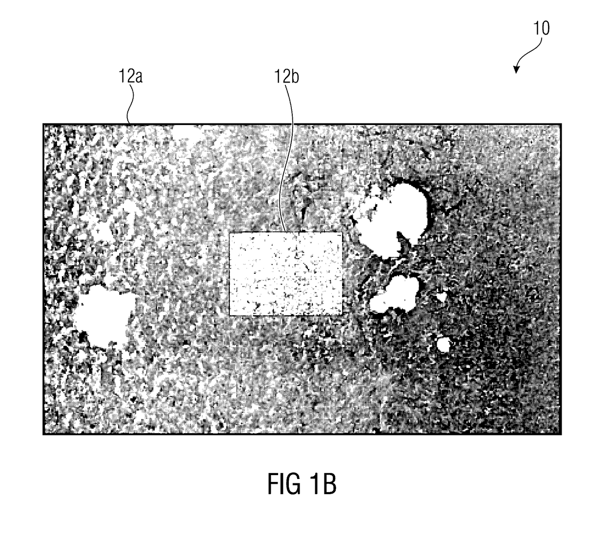 Method and device for generating a microscopy panoramic representation