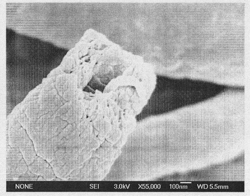 Core/shell fiber with nanowire-embedded microtube structure and preparation method thereof