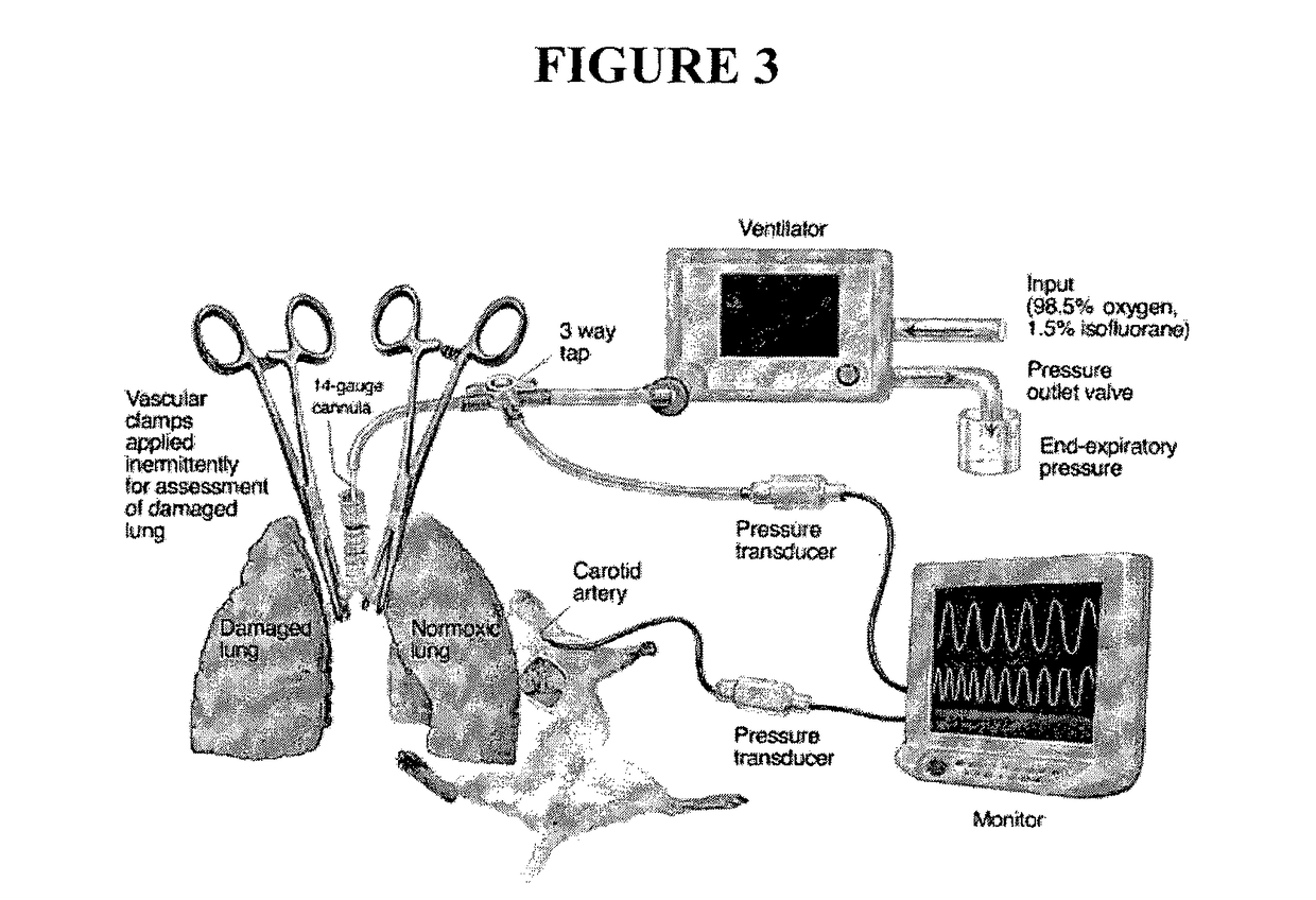 Method of treatment and agents useful for same