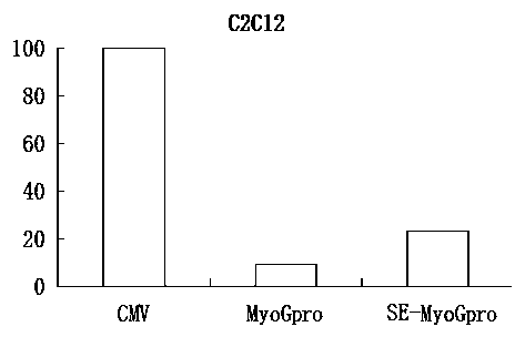 An enhancer of myogenin (myog) gene