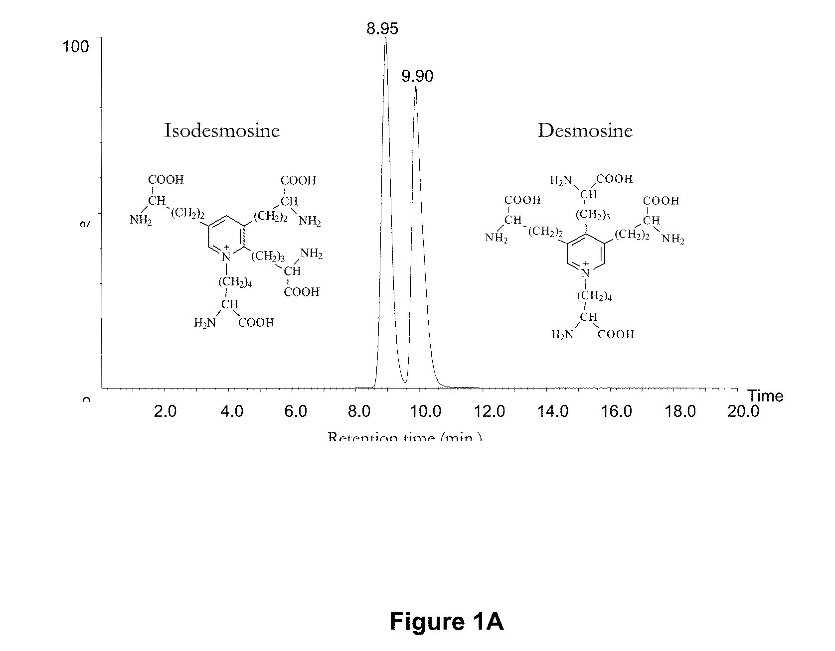 Methods of validating candidate compounds for use in treating COPD and other diseases