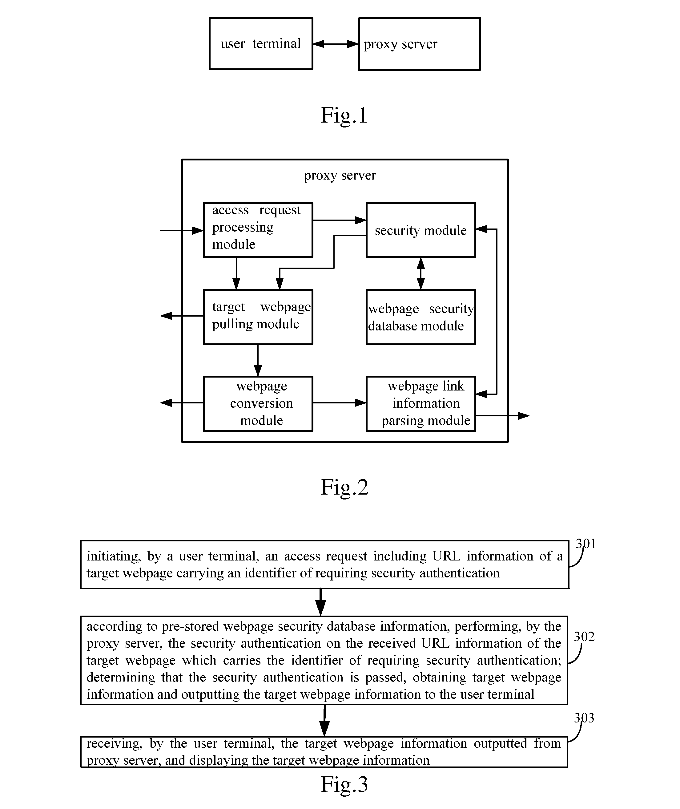 Apparatus, system and method for accessing internet webpage