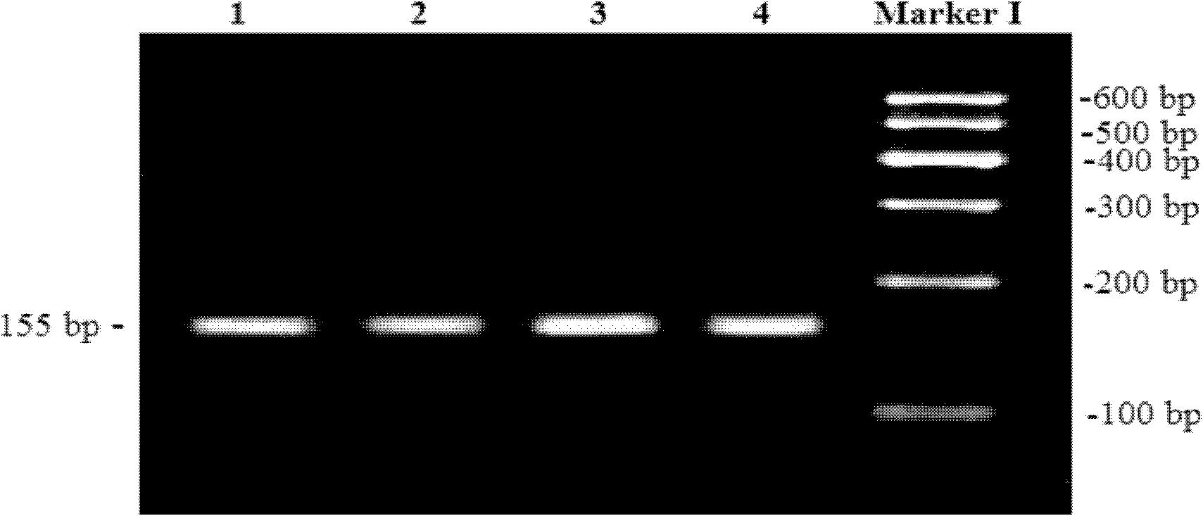 Method for detecting mononucleotide polymorphism of scalper SREBP1c gene