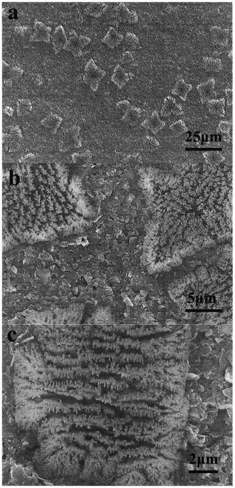 Preparation method of in-situ oxidation growth flower-like structure TiO2/MXene/hard carbon sodium ion battery negative electrode material