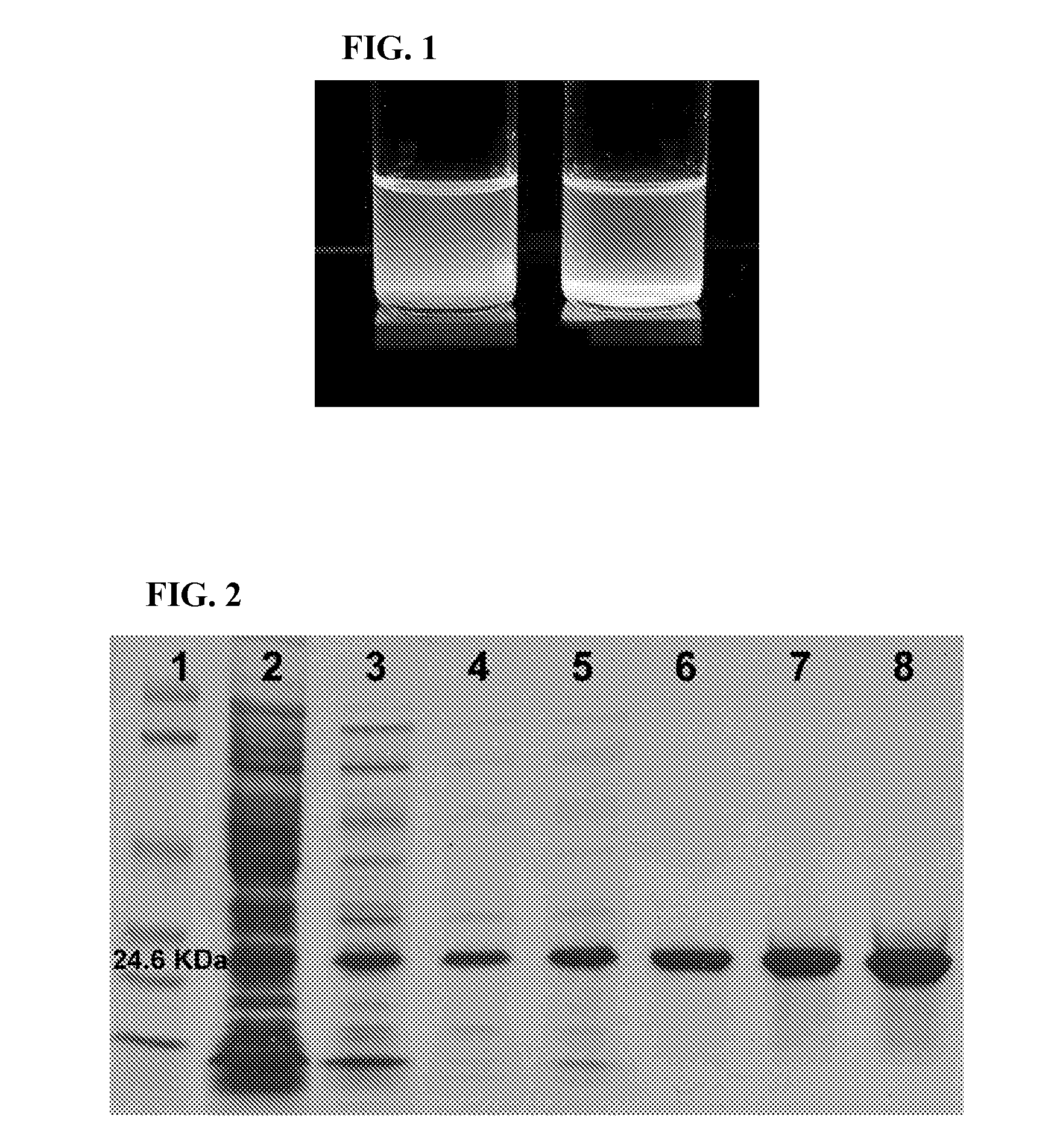 Optical fingerprinting of nucleic acid sequences