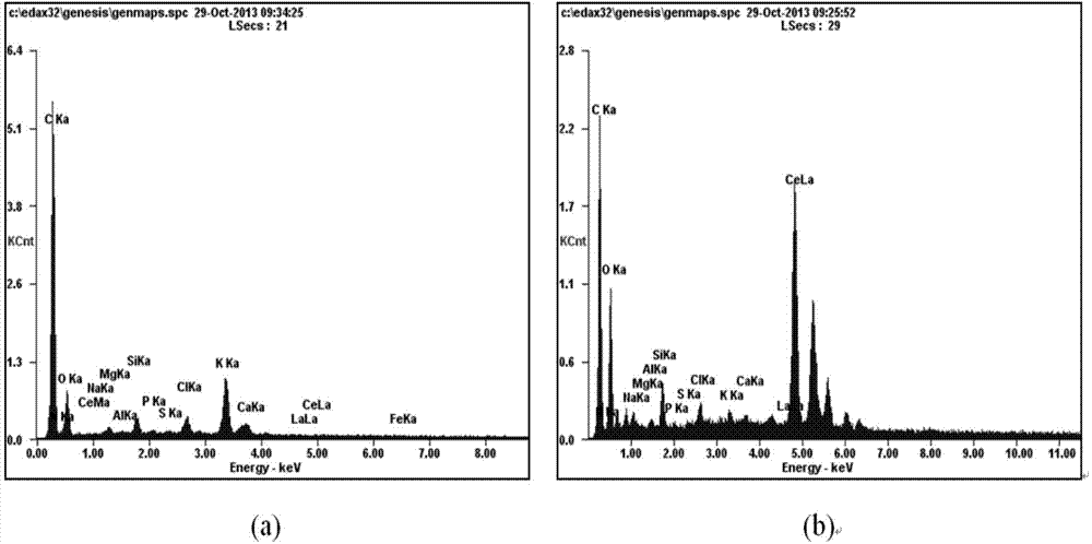 Improved charcoal-based phosphorous removal adsorbent and preparation method thereof