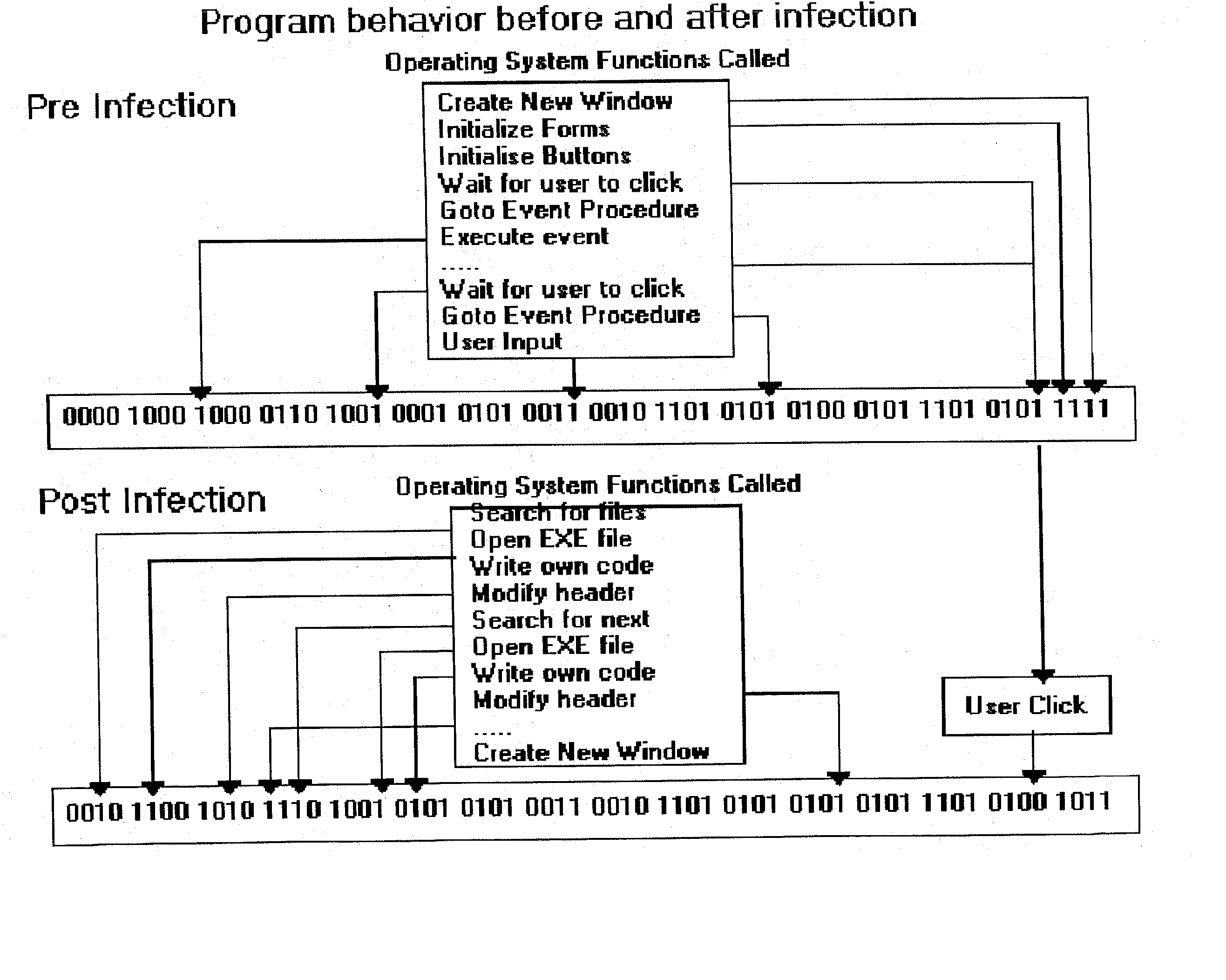 Computer immune system and method for detecting unwanted code in a P-code or partially compiled native-code program executing within a virtual machine