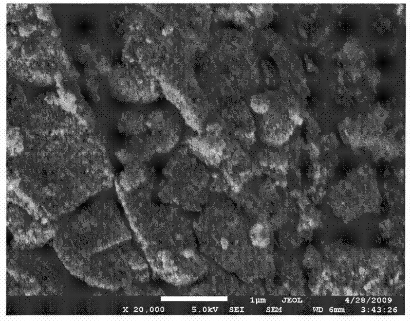 Solid super acidic catalyst and preparation method thereof