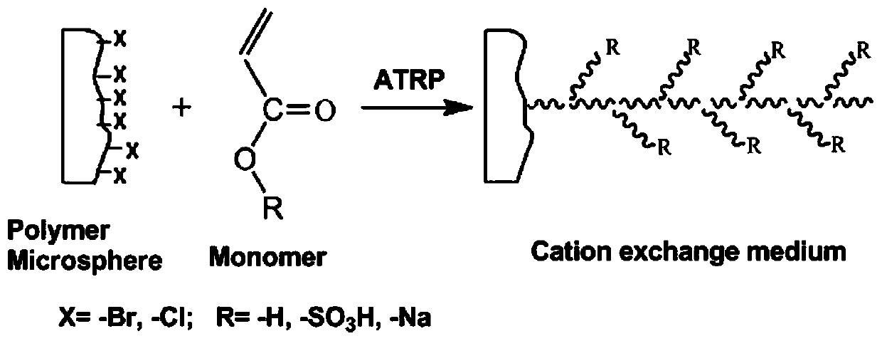 A high-capacity macroporous polymer cation exchange chromatography medium and its preparation