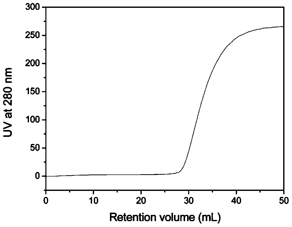 A high-capacity macroporous polymer cation exchange chromatography medium and its preparation