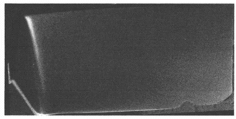 Method for judging metallurgical quality of titanium alloy blade